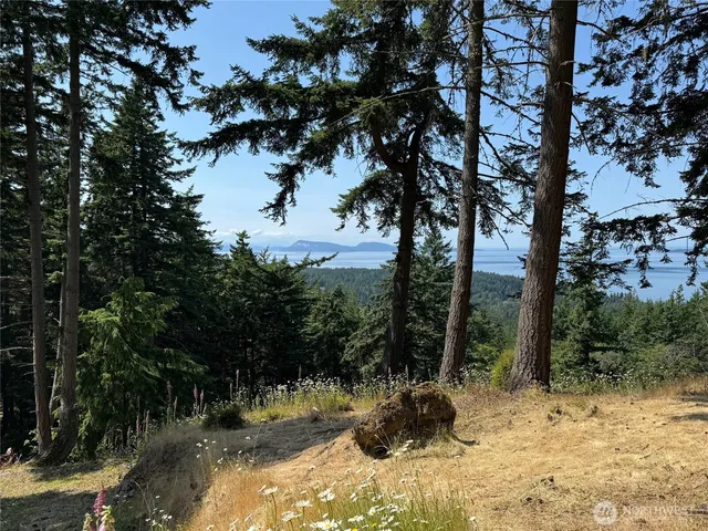 $349,000 | 540 Wright Road, Orcas Island, WA 98245