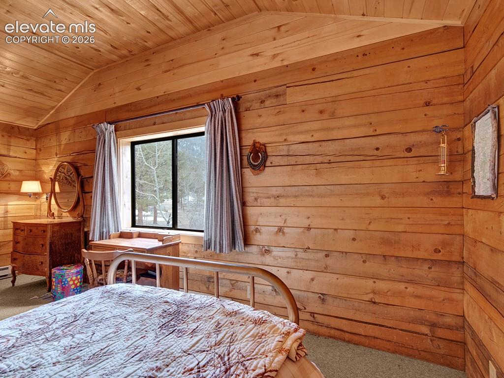 1462 Pulver Road Lake George, CO 80827 - Photo 17 of 25 Gallery Image 17