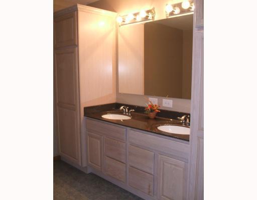 403 Parker Road Sarver, PA 16055 - Photo 16 of 18 Master Bath/Spa. Huge Private Master Suite, double bowl marble Vanity