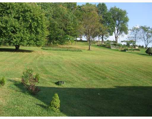 403 Parker Road Sarver, PA 16055 - Photo 5 of 18 Land/Lot. Lush green back yard plenty of space for a garden or plenty of room to roam and play.