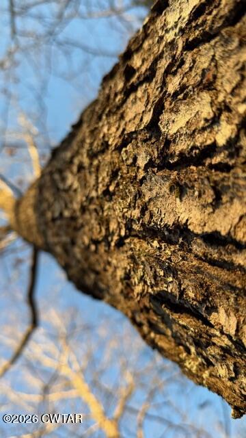 0 Baudy James Road Cedar Grove, TN 38321 - Photo 11 of 31 a view of building