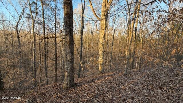 0 Baudy James Road Cedar Grove, TN 38321 - Photo 12 of 31 a view of a yard with trees