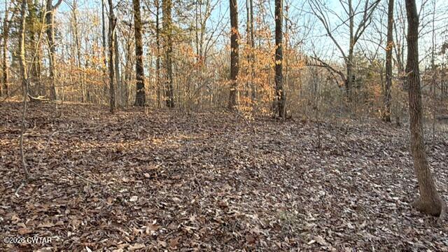 0 Baudy James Road Cedar Grove, TN 38321 - Photo 16 of 31 a view of a yard with trees