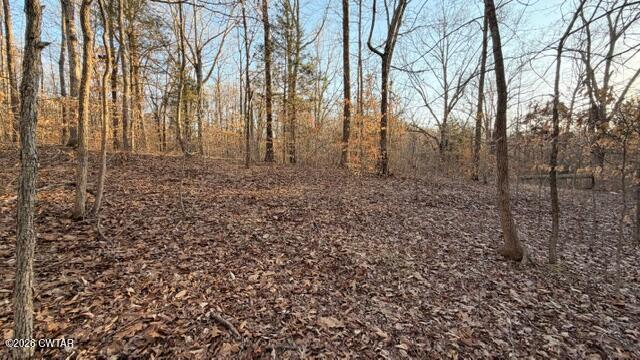0 Baudy James Road Cedar Grove, TN 38321 - Photo 17 of 31 a view of a yard with trees in the background