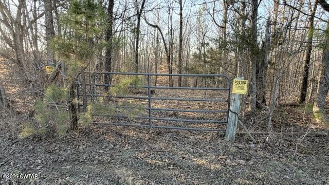 0 Baudy James Road Cedar Grove, TN 38321 - Photo 18 of 31 a view of outdoor space