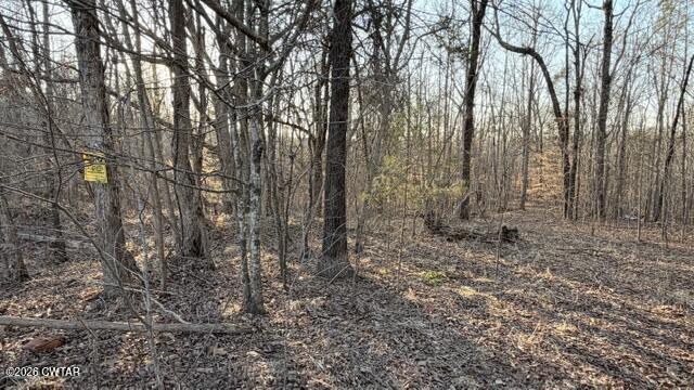 0 Baudy James Road Cedar Grove, TN 38321 - Photo 19 of 31 a view of a forest with trees in the background