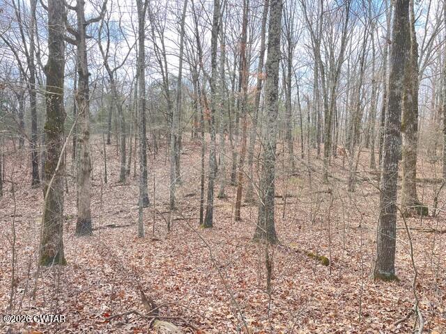 0 Baudy James Road Cedar Grove, TN 38321 - Photo 2 of 31 a view of outdoor space with chairs