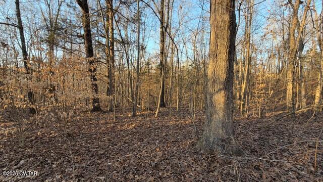 0 Baudy James Road Cedar Grove, TN 38321 - Photo 21 of 31 a view of a yard with trees