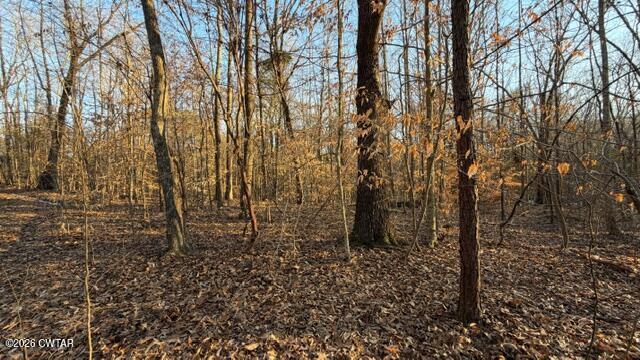 0 Baudy James Road Cedar Grove, TN 38321 - Photo 23 of 31 a view of a yard with lots of bushes