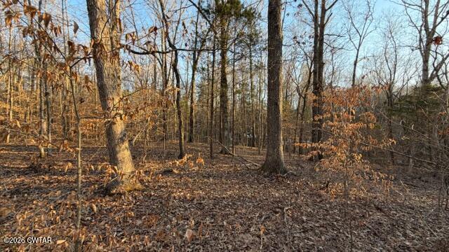0 Baudy James Road Cedar Grove, TN 38321 - Photo 24 of 31