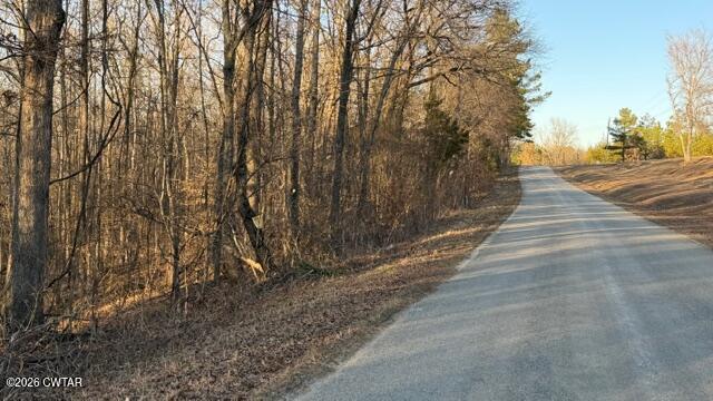 0 Baudy James Road Cedar Grove, TN 38321 - Photo 26 of 31 a view of a backyard of the house