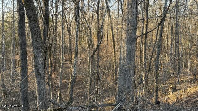 0 Baudy James Road Cedar Grove, TN 38321 - Photo 27 of 31 a view of forest