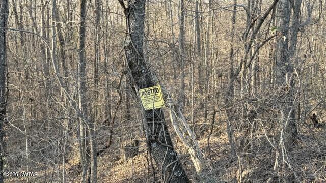 0 Baudy James Road Cedar Grove, TN 38321 - Photo 28 of 31