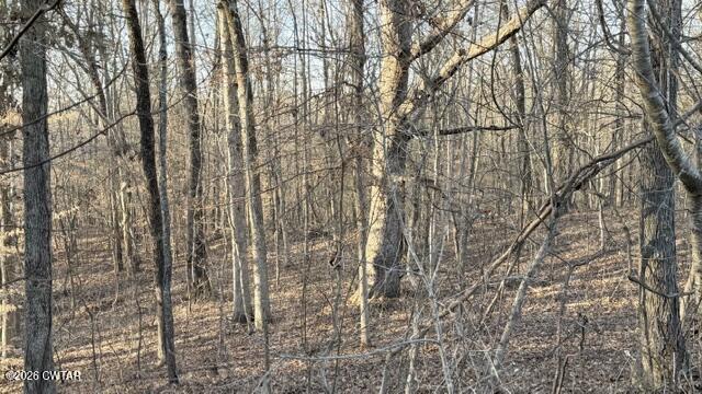 0 Baudy James Road Cedar Grove, TN 38321 - Photo 30 of 31 a view of a yard