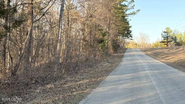 0 Baudy James Road Cedar Grove, TN 38321 - Photo 31 of 31 a view of pathway with a yard