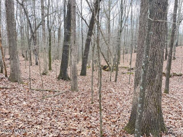 0 Baudy James Road Cedar Grove, TN 38321 - Photo 4 of 31 a picture of a yard