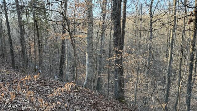 0 Baudy James Road Cedar Grove, TN 38321 - Photo 5 of 31 a backyard of a house with lots of green space