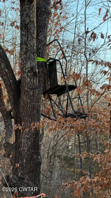 0 Baudy James Road Cedar Grove, TN 38321 - Photo 6 of 31 a view of under a large tree with a yard