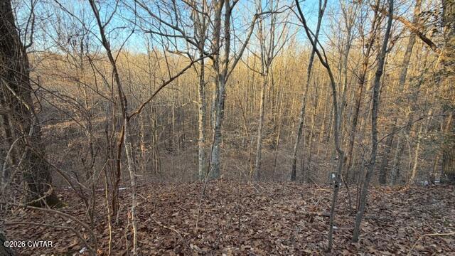 0 Baudy James Road Cedar Grove, TN 38321 - Photo 7 of 31 a view of a yard