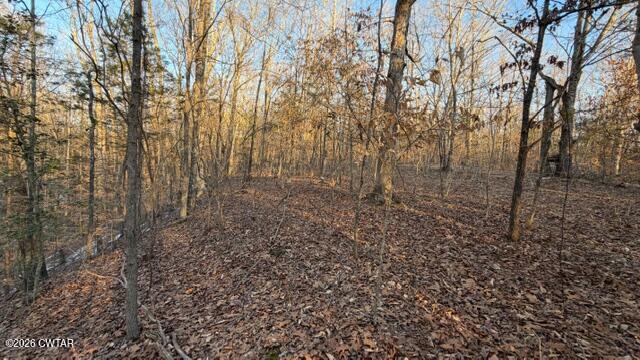 0 Baudy James Road Cedar Grove, TN 38321 - Photo 8 of 31 a view of a yard with large trees