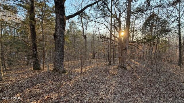 0 Baudy James Road Cedar Grove, TN 38321 - Photo 9 of 31 a backyard of a house with lots of green space