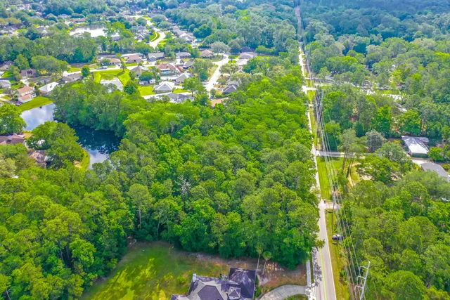 a picture of flowers