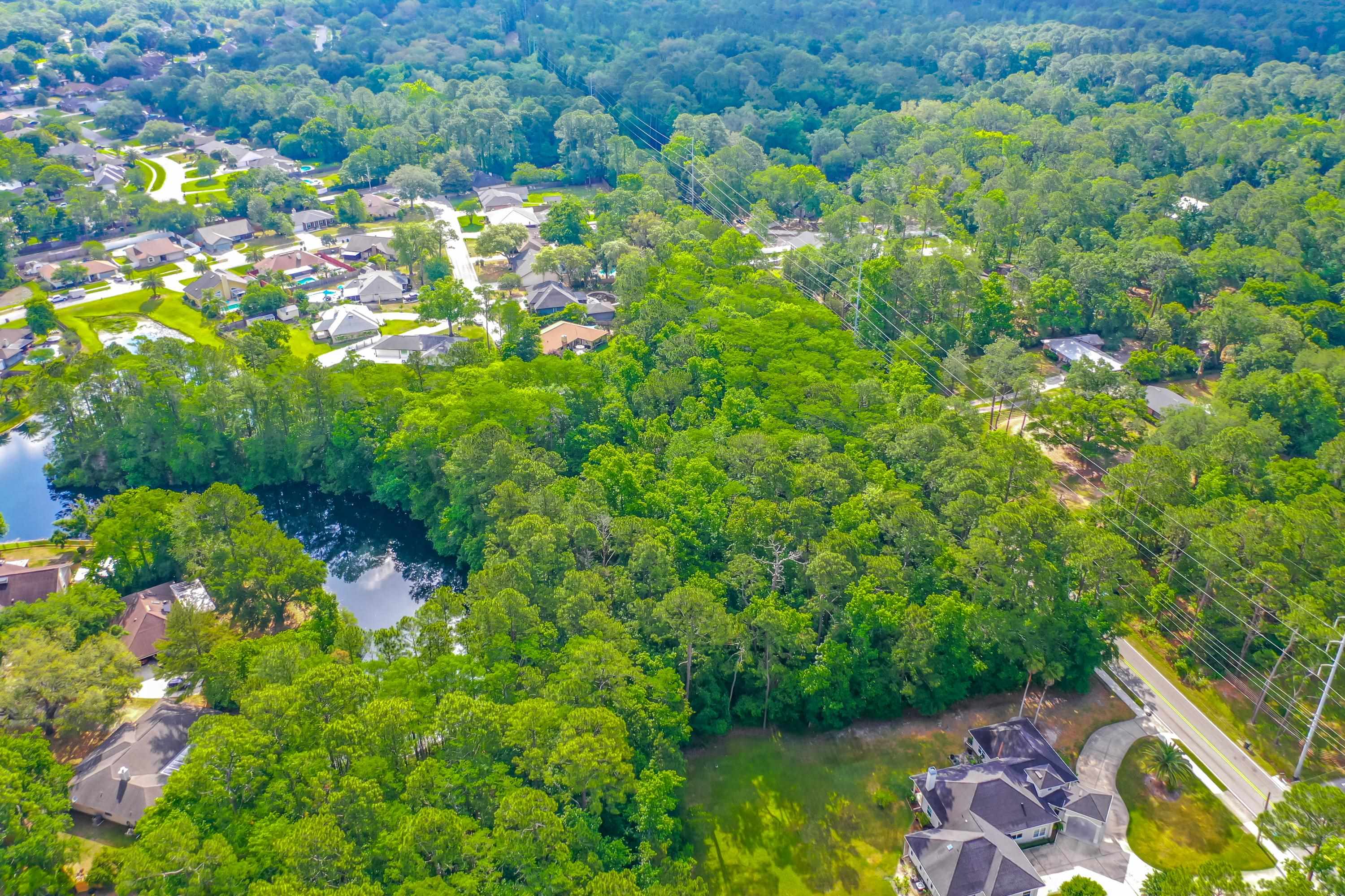 0 Marbon Road Jacksonville, FL 32223 - Photo 16 of 18 a picture of flowers
