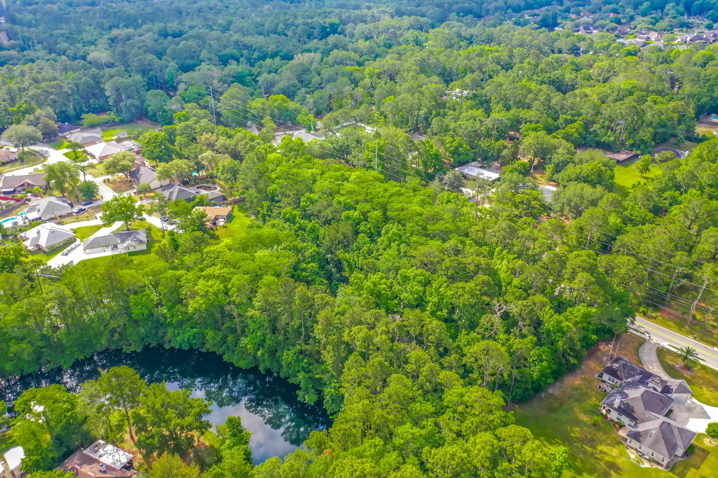 0 Marbon Road Jacksonville, FL 32223 - Photo 17 of 18 a view of a garden