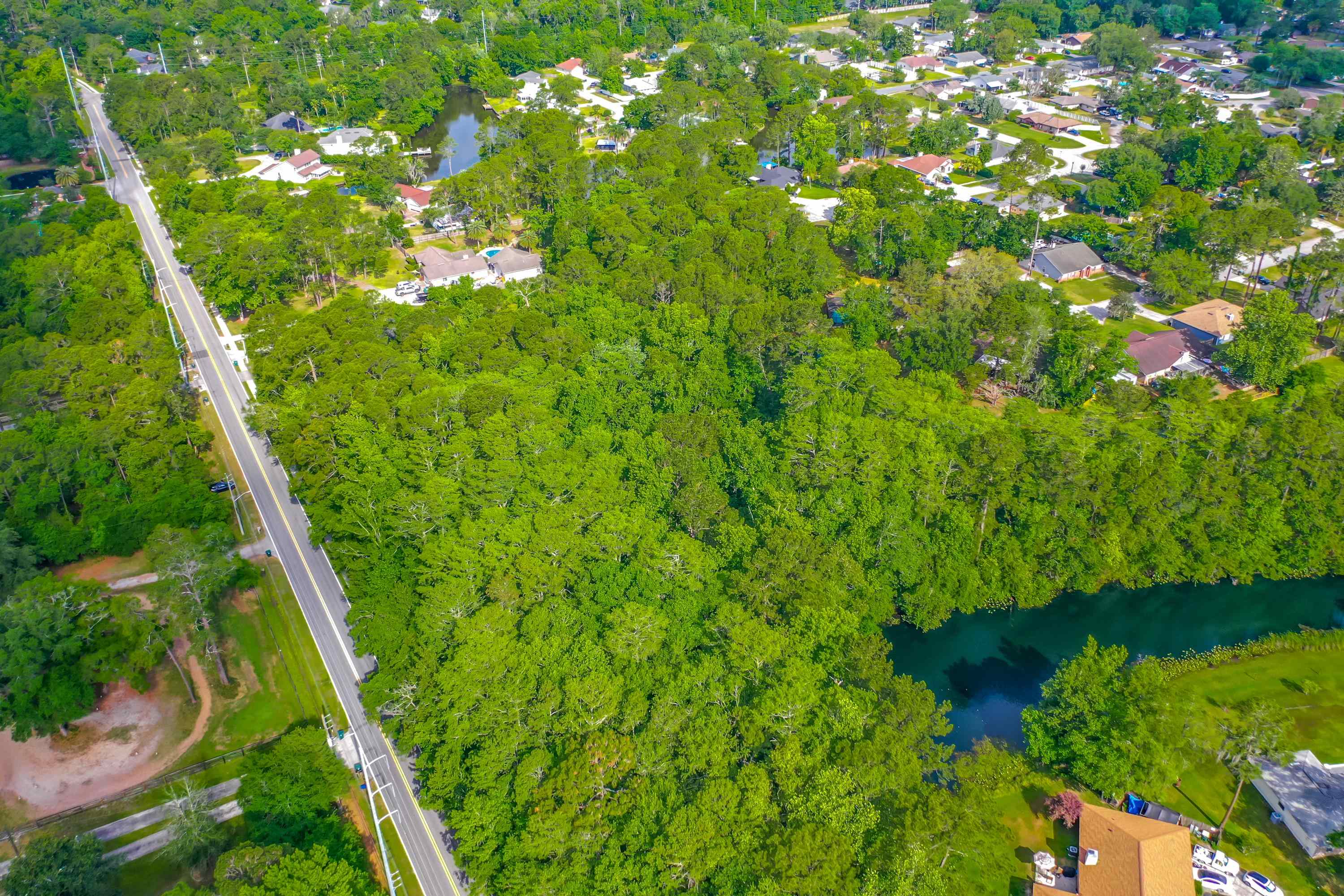 0 Marbon Road Jacksonville, FL 32223 - Photo 18 of 18 a view of a garden