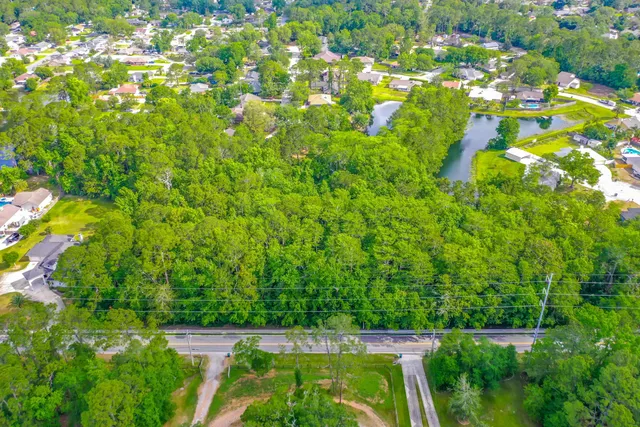 a view of a lush green forest with lots of trees