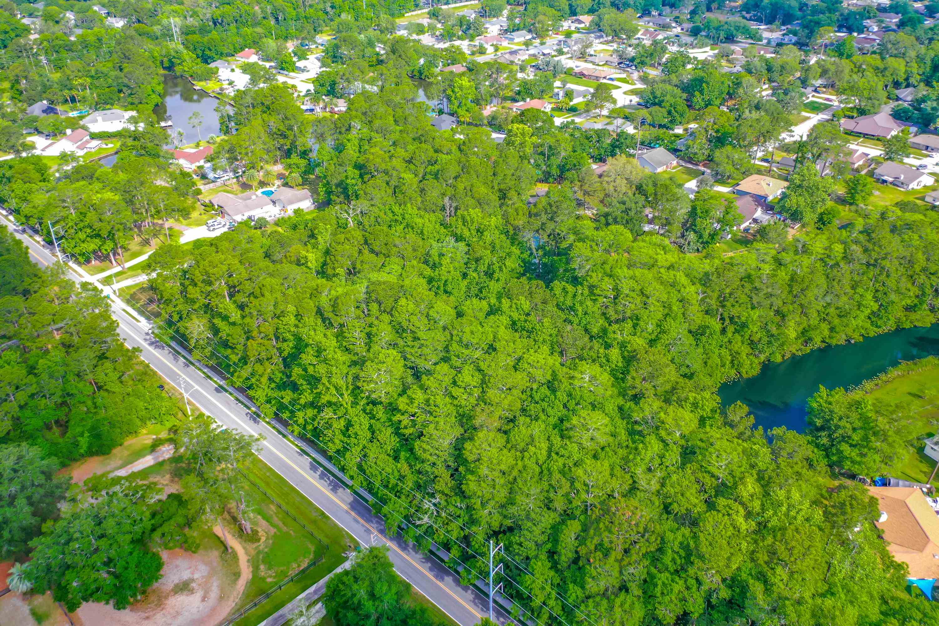 0 Marbon Road Jacksonville, FL 32223 - Photo 3 of 18 a view of a lush green forest with lots of trees