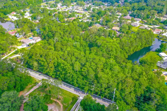 a view of a yard with a large trees