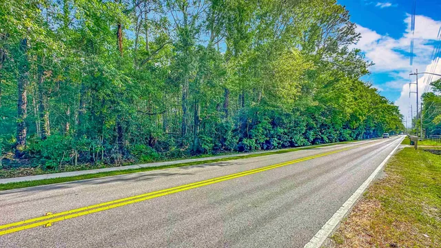 a view of a yard with potted plants