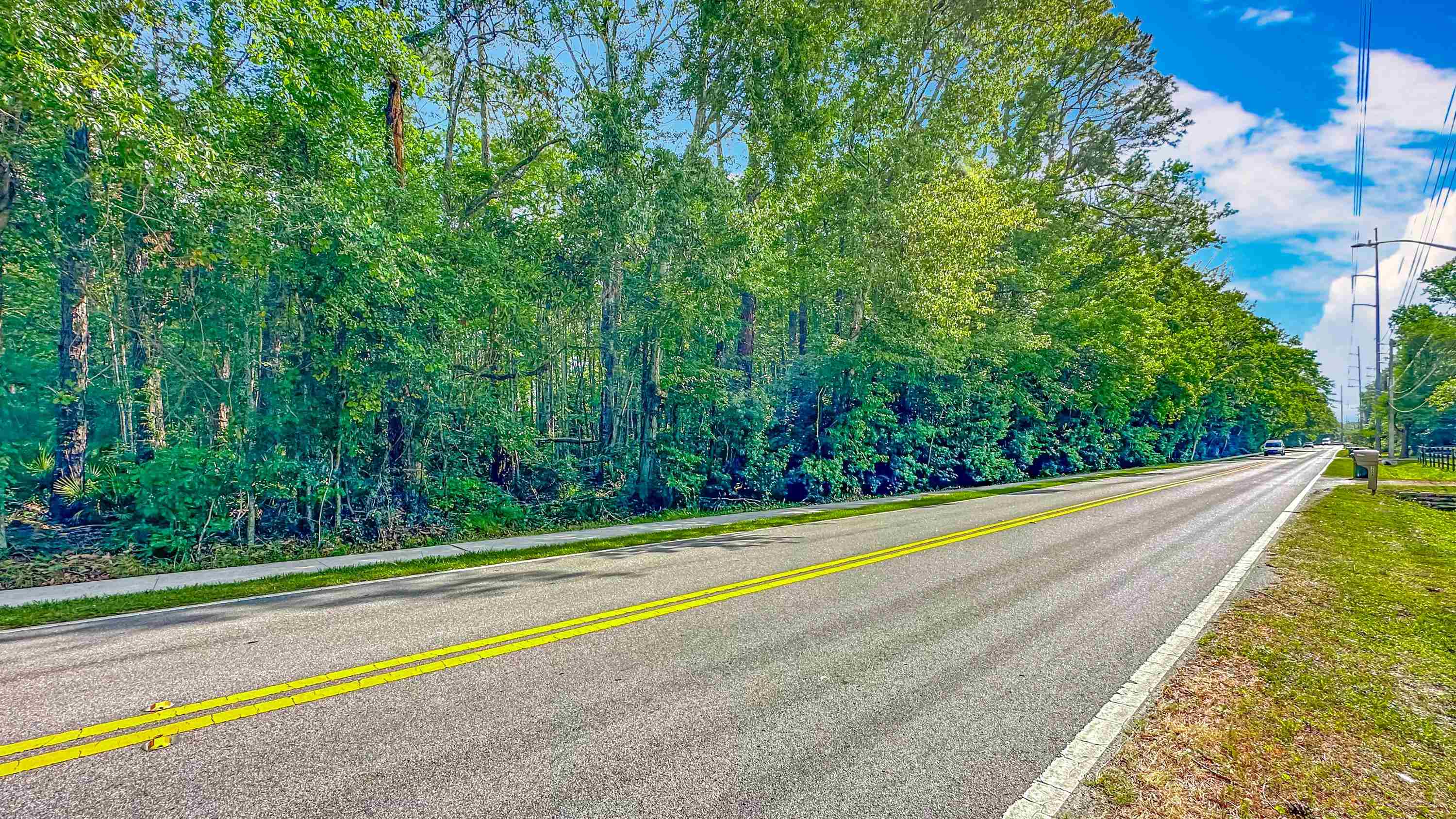 0 Marbon Road Jacksonville, FL 32223 - Photo 5 of 18 a view of a yard with a large trees
