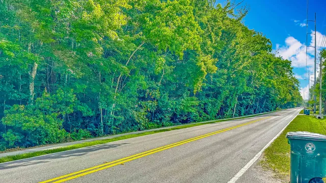 a view of a yard with potted plants and floor to ceiling window