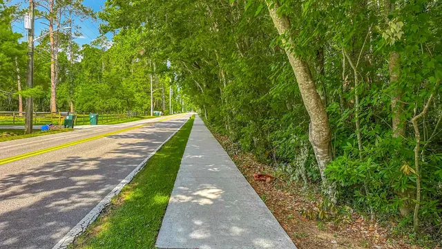 a view of a pathway with a yard