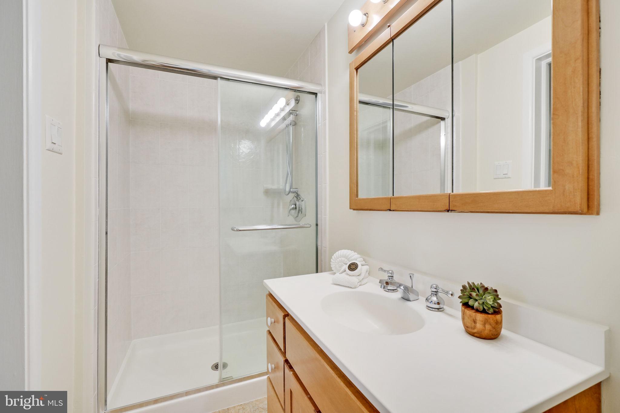 207 Buxton Road Falls Church, VA 22046 - Photo 18 of 42 En suite bathroom.