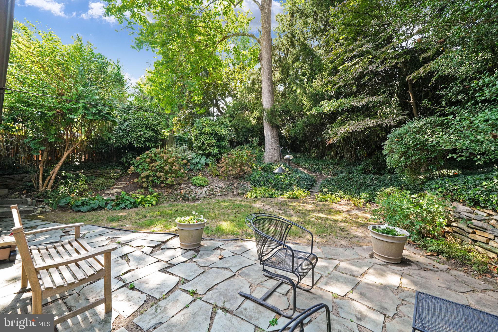 207 Buxton Road Falls Church, VA 22046 - Photo 38 of 42 More mature cultivated landscaping.