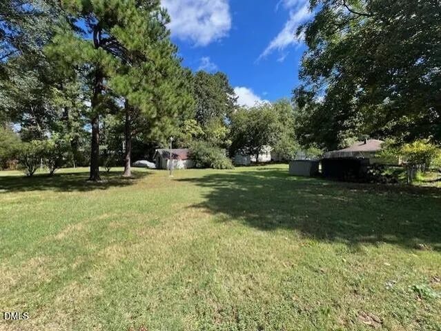 a view of a park with large trees
