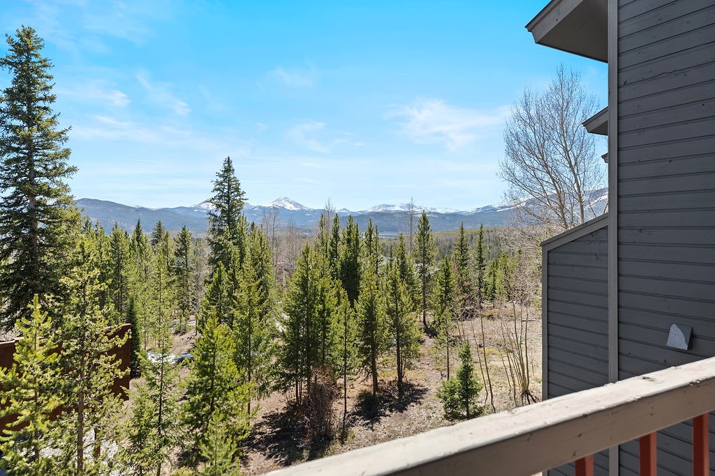 9401 Ryan Gulch Road, Unit 23 Silverthorne, CO 80498 - Photo 9 of 39