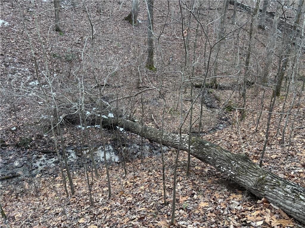 7175 Anderson Lake Road Dawsonville, GA 30534 - Photo 11 of 30