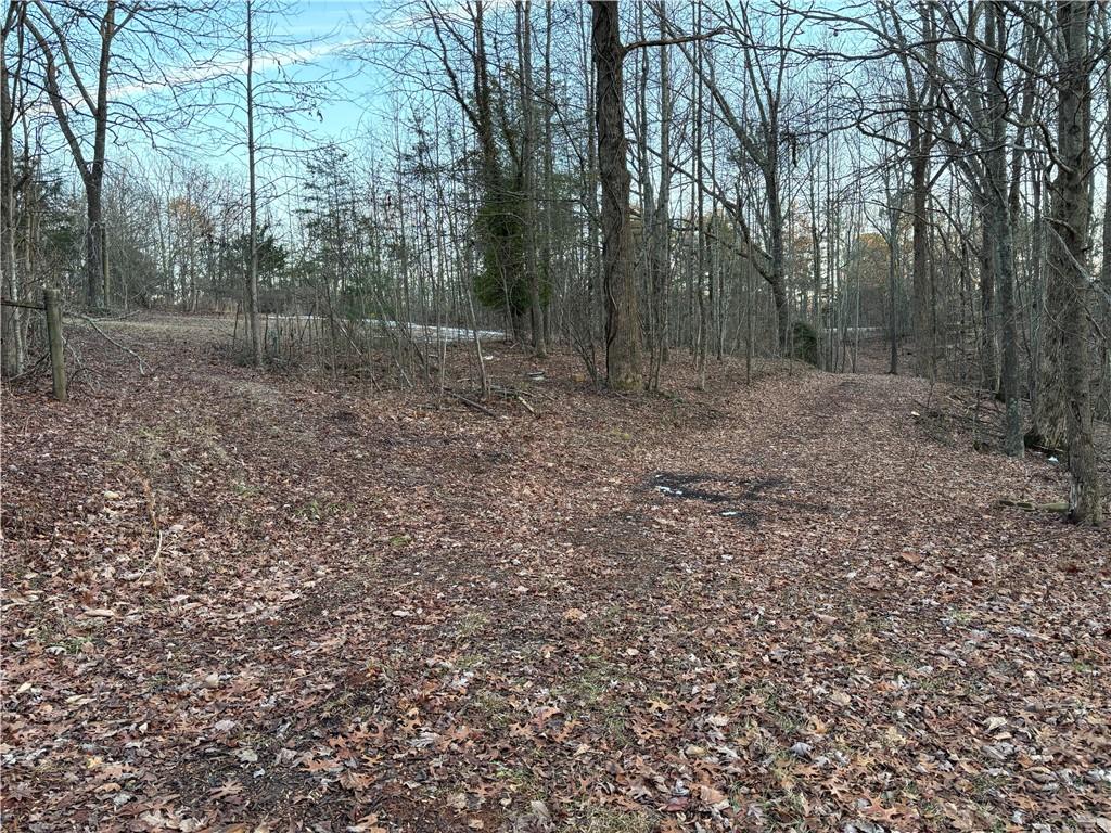 7175 Anderson Lake Road Dawsonville, GA 30534 - Photo 12 of 30