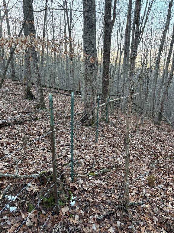 7175 Anderson Lake Road Dawsonville, GA 30534 - Photo 13 of 30