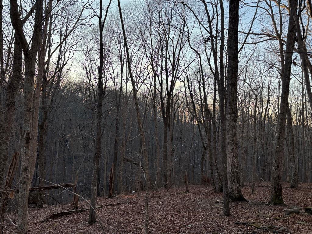 7175 Anderson Lake Road Dawsonville, GA 30534 - Photo 14 of 30