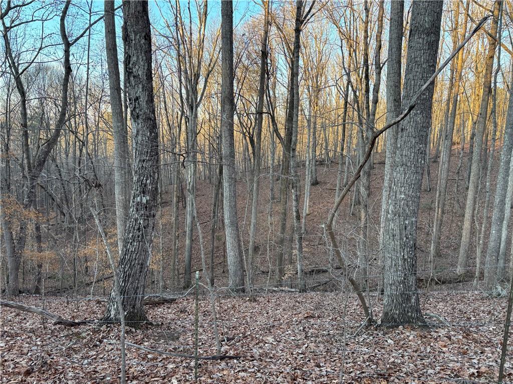 7175 Anderson Lake Road Dawsonville, GA 30534 - Photo 15 of 30