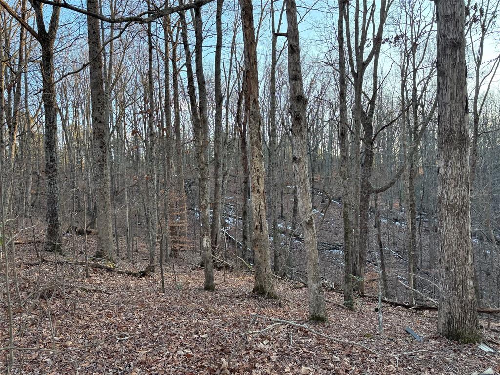 7175 Anderson Lake Road Dawsonville, GA 30534 - Photo 21 of 30