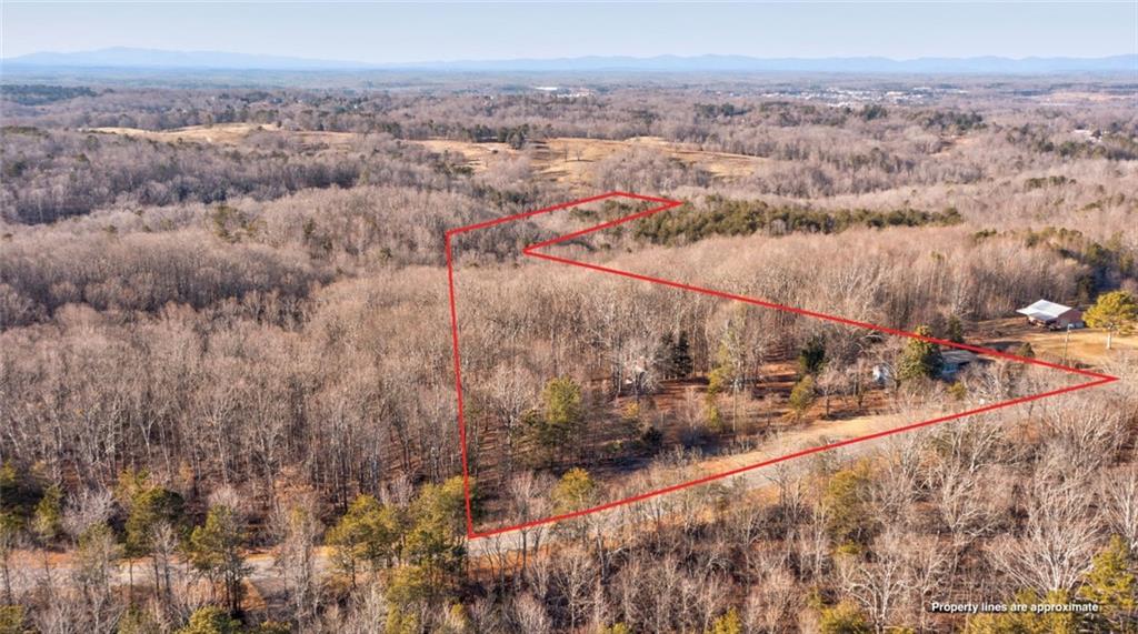 7175 Anderson Lake Road Dawsonville, GA 30534 - Photo 29 of 30