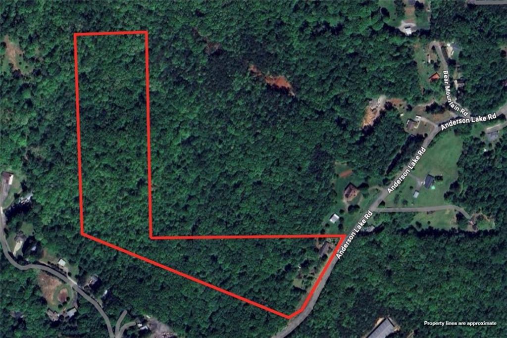 7175 Anderson Lake Road Dawsonville, GA 30534 - Photo 5 of 30