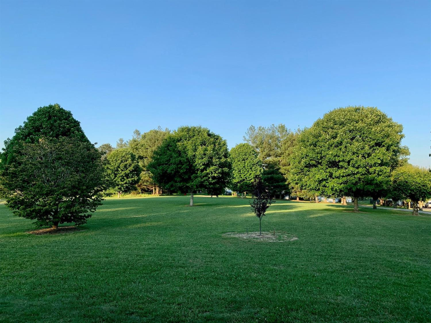 1185 HELVETIA Road North London, KY 40741 - Photo 2 of 66 Photo 2