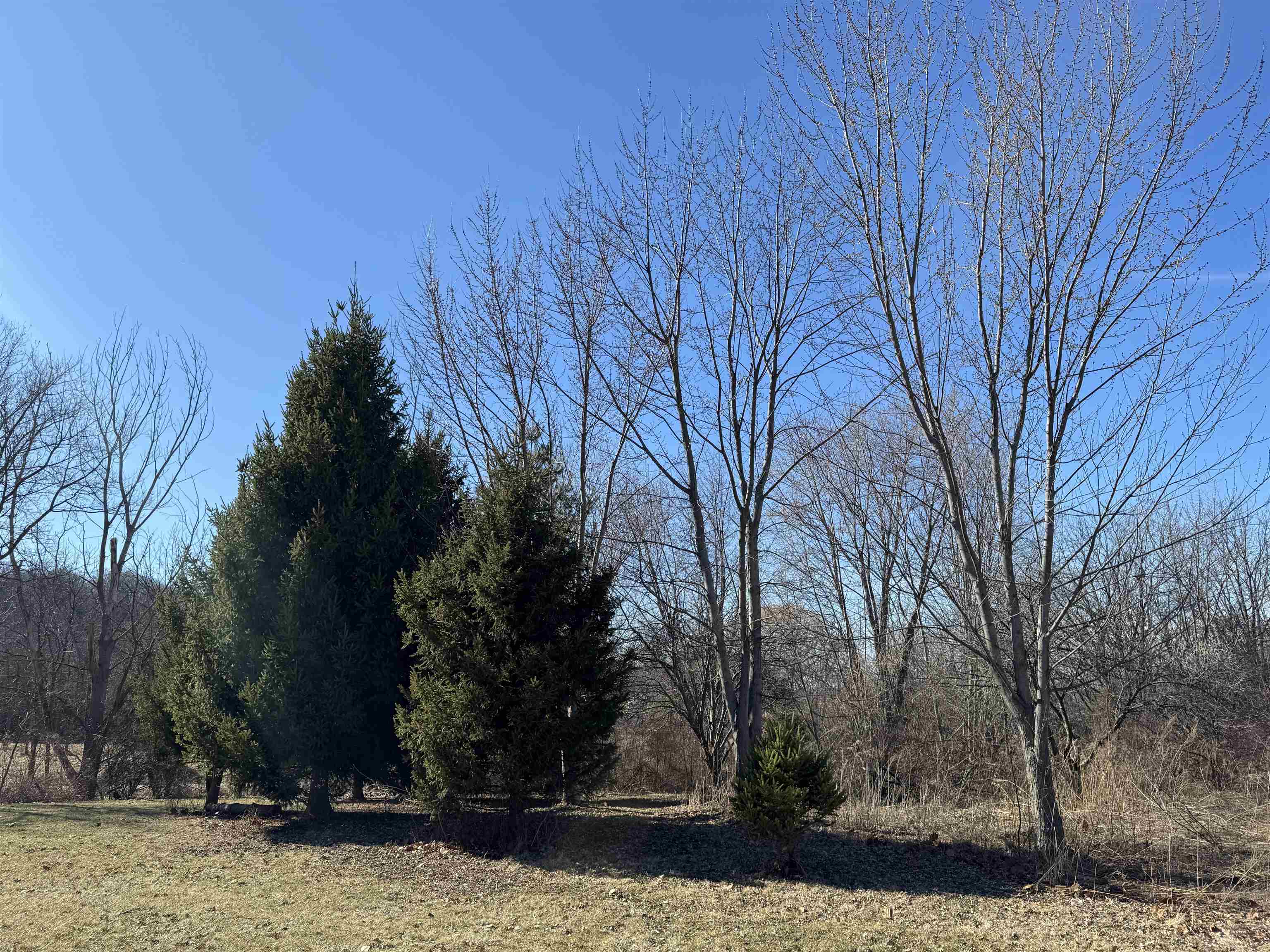 4989 North Ford Road Scales Mound, IL 61075 - Photo 40 of 93